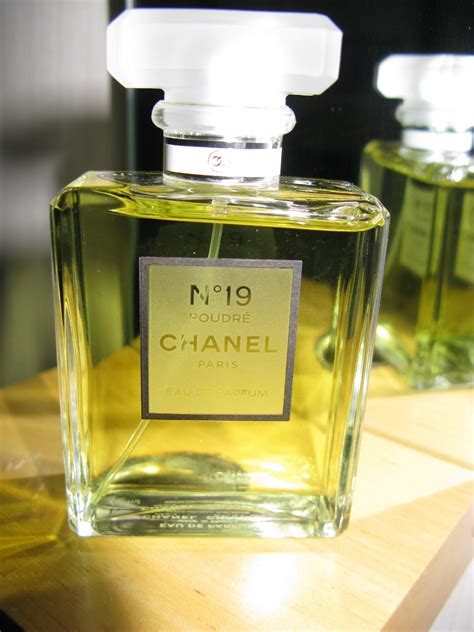 chanel no 19 fragrantica